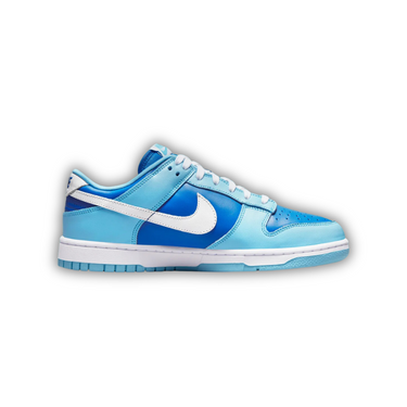 Nike Dunk Low Retro QS Argon (2022)
