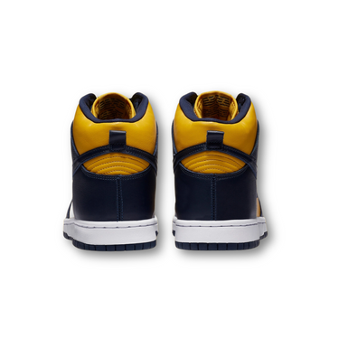 Nike Dunk High Michigan (2020)