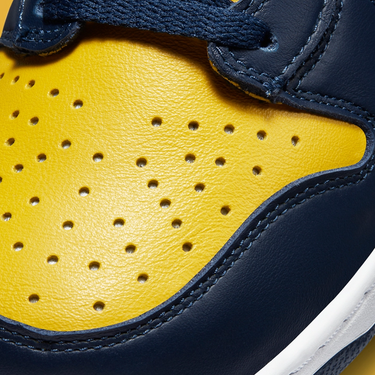 Nike Dunk High Michigan (2020)