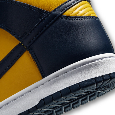Nike Dunk High Michigan (2020)