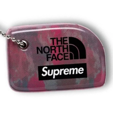 Supreme The North Face Floating Key Chain Multi