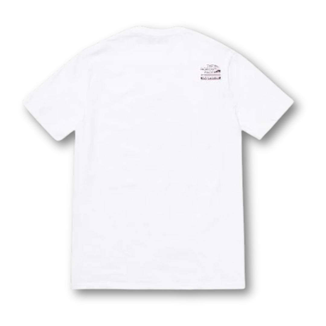 Supreme The North Face Metallic Logo T-shirt White