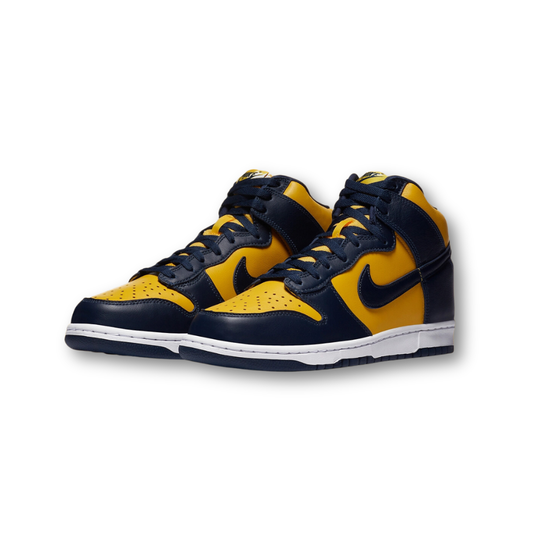 Nike Dunk High Michigan (2020)