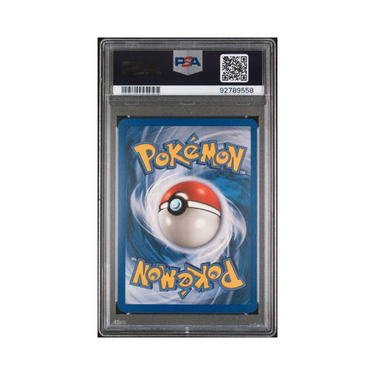 2003 Pokémon Skyridge #101 Snubbull-Rev.Foil
