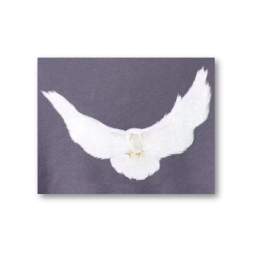 Yeezy Gap Dove Padded Heavy Fleece Tee Black