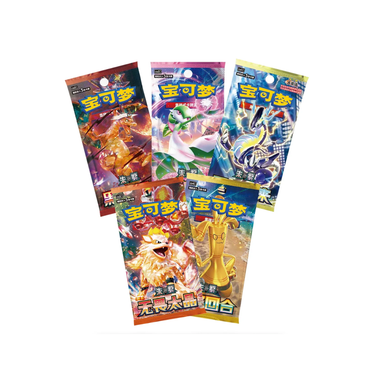 Pokémon TCG Paldea Metal Magnet Coin Set Vol. 2 Blind Box (CN)