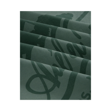 Aimé Leon Dore Sun Faded Unisphere Bandana Agave Green