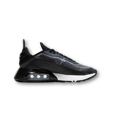 Nike Air Max 2090 Black White Black (W)