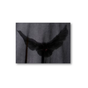Yeezy Gap Engineered by Balenciaga Dove Longsleeve Tee Black