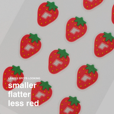 Rhode Spotwear Strawberry