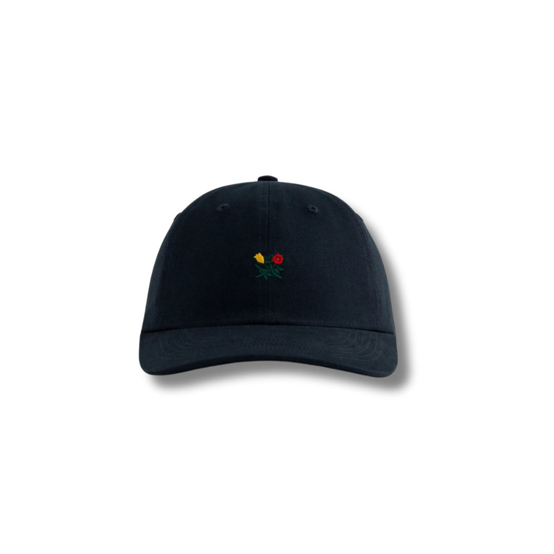 Aime Leon Dore Brushed Crest Hat Black