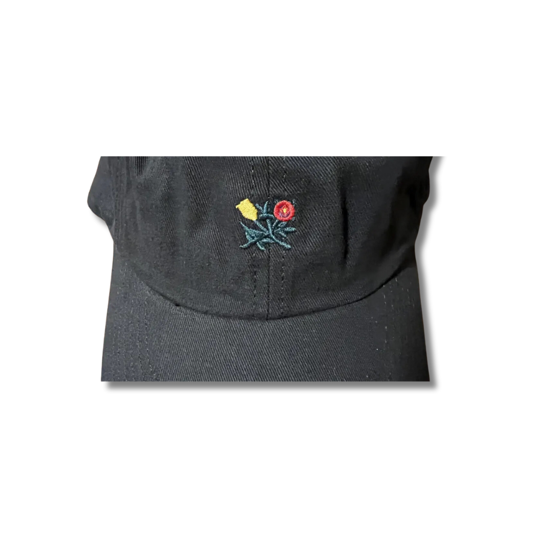 Aime Leon Dore Brushed Crest Hat Black